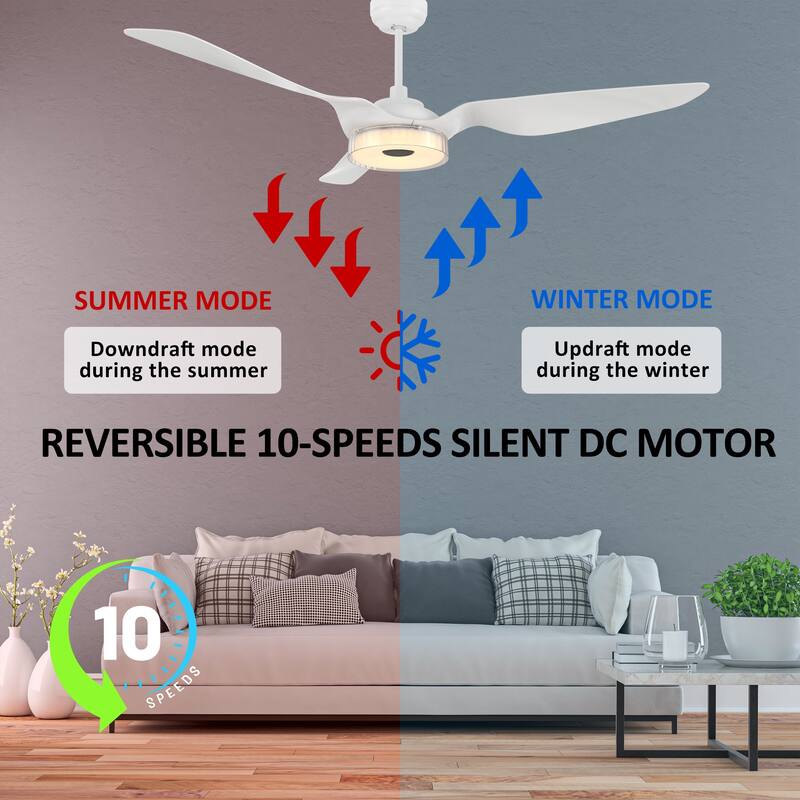 CARRO Felix 60" ABS 3-Blade Indoor Smart Ceiling Fan with Light and Remote