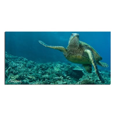 Ready2HangArt 'Maui Turtle Stony' Wrapped Canvas Wall Art