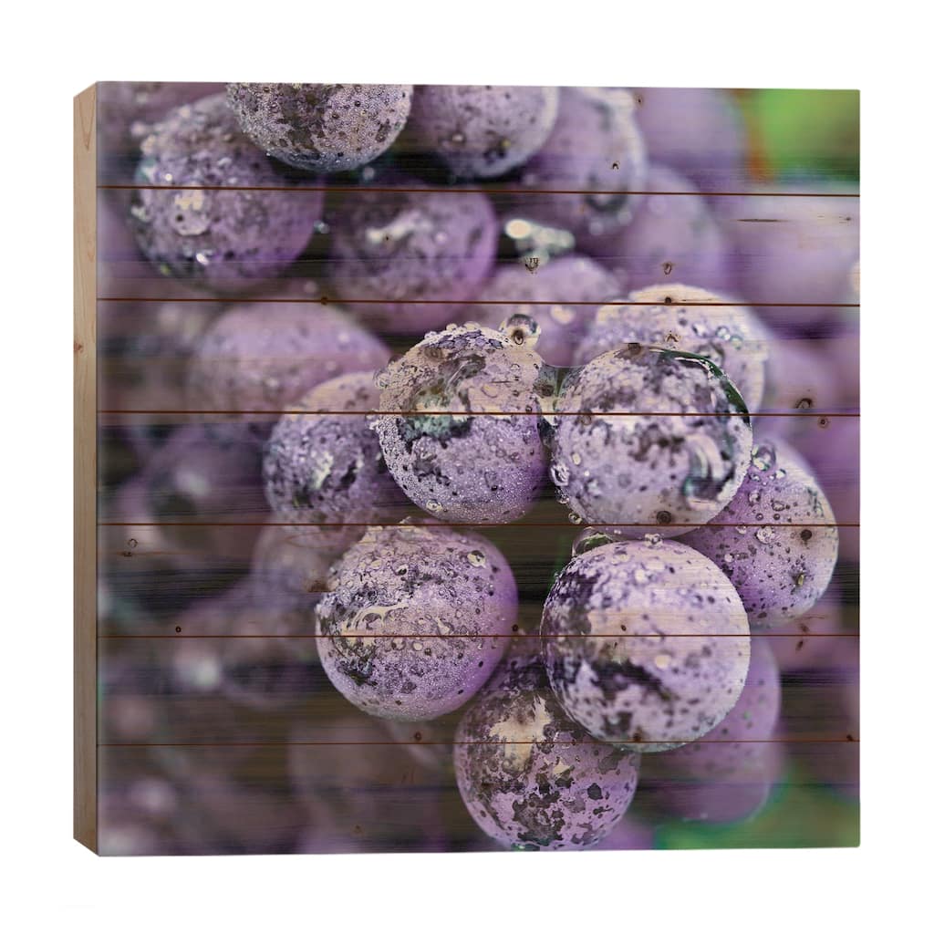 Chianti Grapes At Harvest, Greve In Chianti, Florence Province, Tuscany Region, Italy Print On Wood by Richard Duval