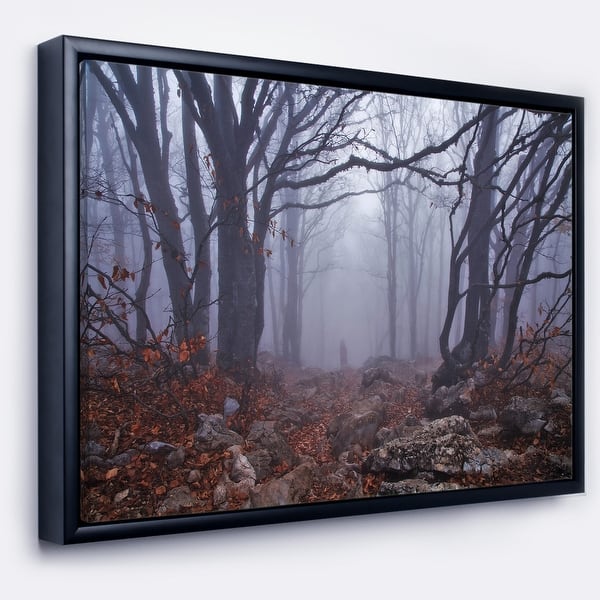 Designart Dark Foggy Forest In Autumn Landscape Photography Framed Canvas Print Overstock Designart Dark Foggy Forest In Autumn Landscape Photography Framed Canvas Print Overstock