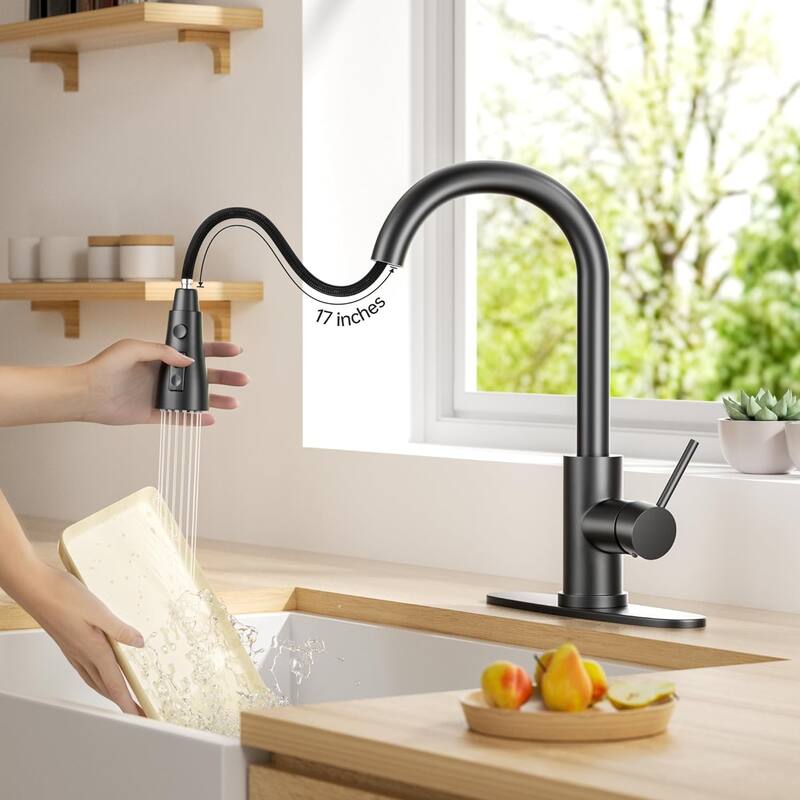 Single Handle High Arc Brushed Nickel Pull Out Kitchen Faucet with Pull Down Sprayer and 10 Inch Deck