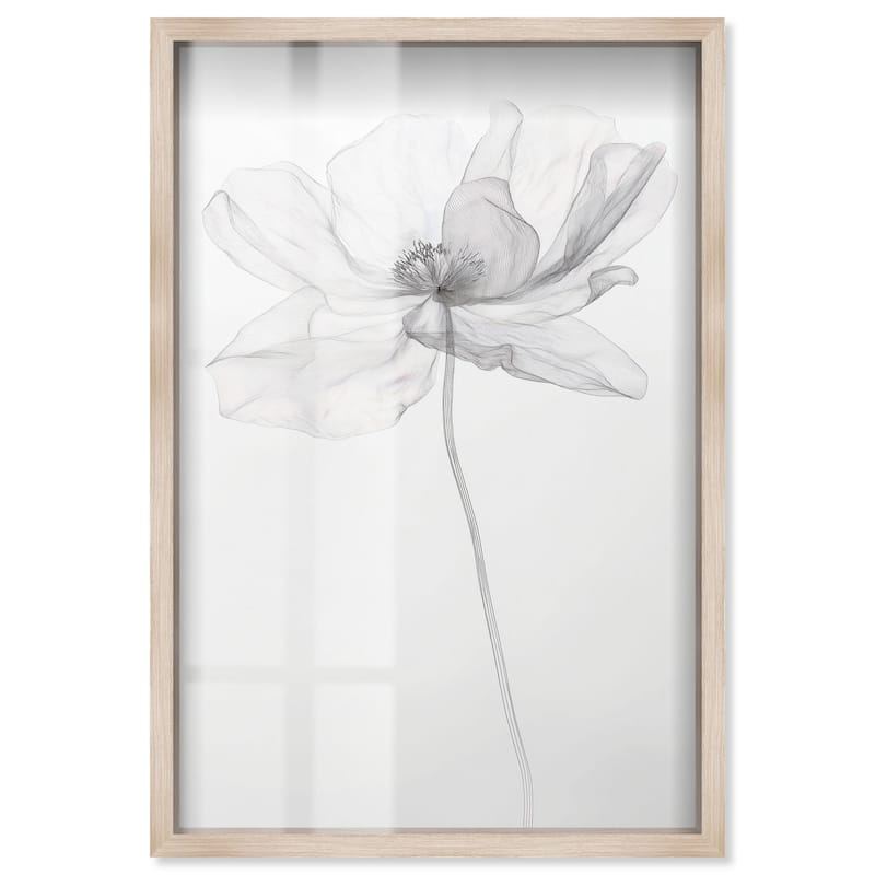 Fragile Beauty I Shadowbox by Art Remedy - Natural - 36" x 54"