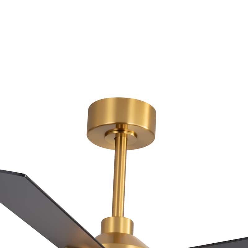 52" Reversible 5-Blade Farmhouse Glam Floral Glass Caged Ceiling Fan with Light and Remote