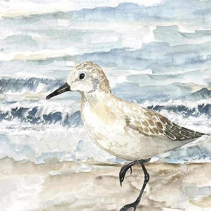 HomeRoots Set Of Two Beach Sandpipers Distressed White Framed Wall Art