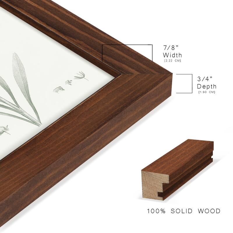 Botanical Study in Sage I -Framed Print w/glass-Cherry Red