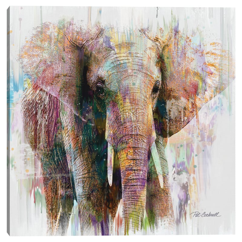 Elephant Portrait by Pat Cockrell Canvas Art Print