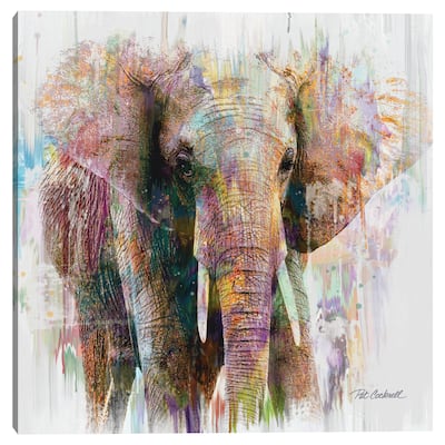 Elephant Portrait by Pat Cockrell Canvas Art Print