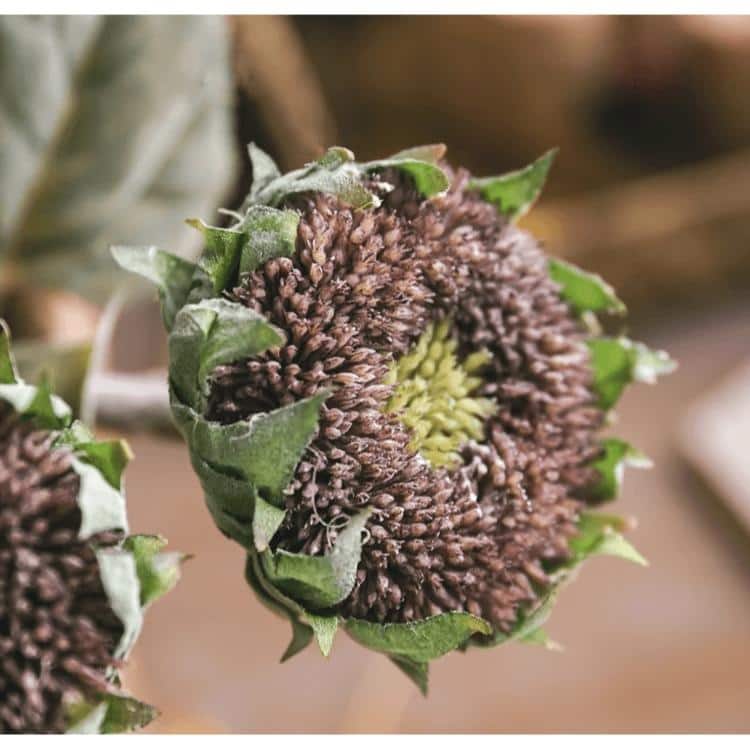 RusticReach Artificial Small Head Sunflower Stem 23.6" Tall