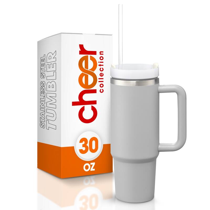 Cheer Collection Insulated Tumbler with Reusable Straw - Gray - Small