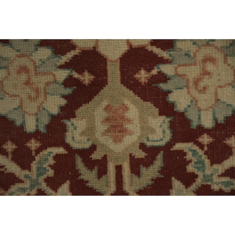 Hand Knotted Oriental 100% Wool Carpet Traditional All-Over Red Ziegler Area Rug - 3' 8'' X 2' 0''