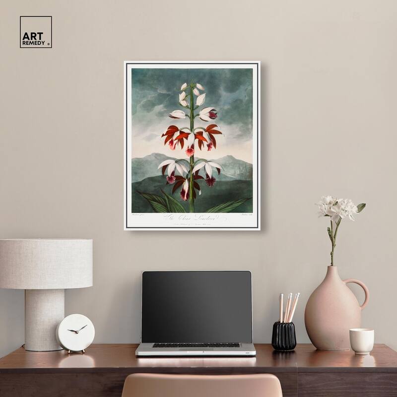The China Limodoron 1807 Canvas by Art Remedy