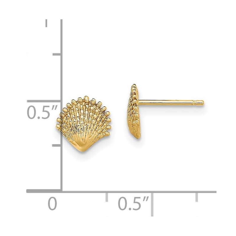 Curata 14k Yellow Gold 7.8mm Scallop Shell Post Earrings