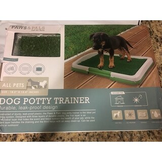 kiddie pool dog potty