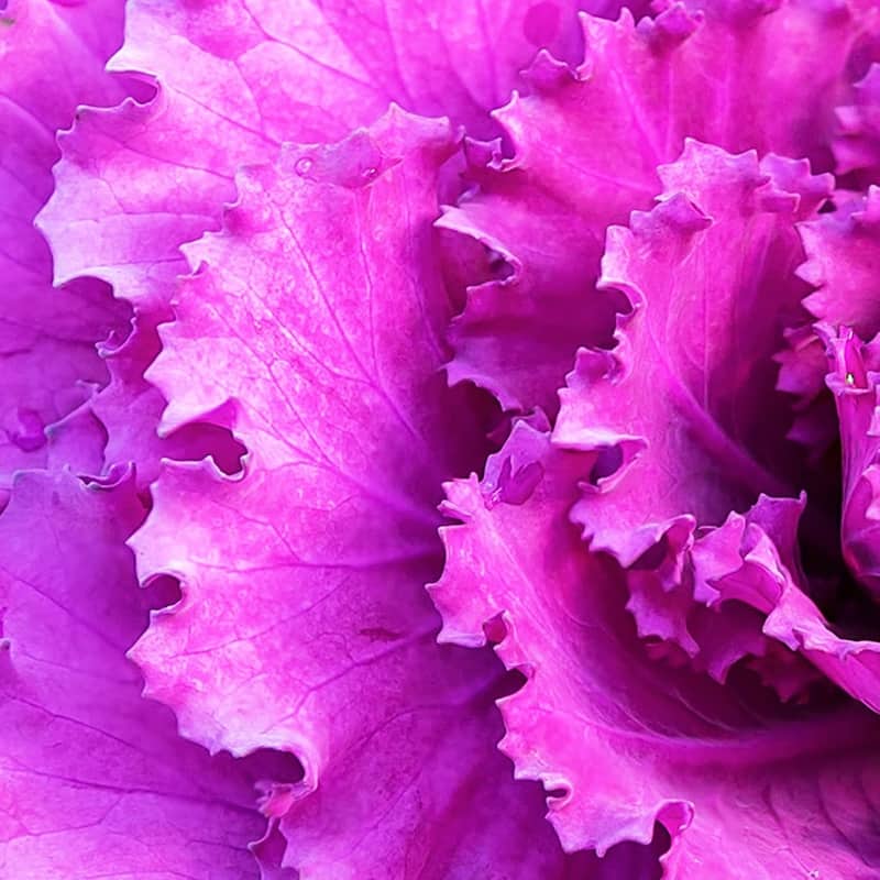 HomeRoots 32" X 95" Pink Acrylic Hanging Wall Decor