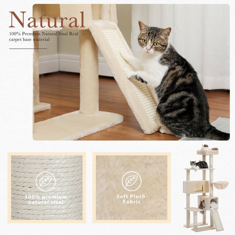 61" Indoor Large Cat Tree Cat Tower with Ladder and Dual Condos
