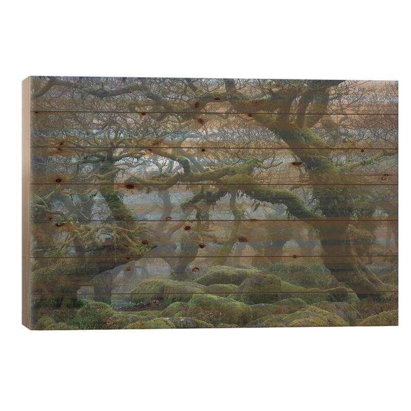 Fangorn Forest Print On Wood by Adam Burton - Multi-Color - 18x26x1.5