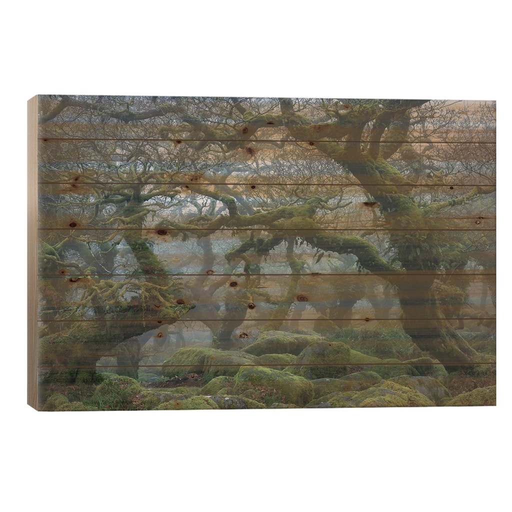 Fangorn Forest Print On Wood by Adam Burton - Multi-Color