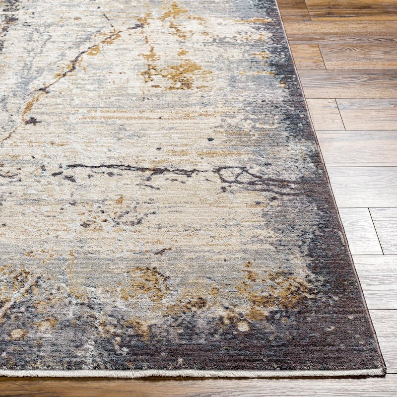 Livabliss Transitional Aida Ombre Area Rug