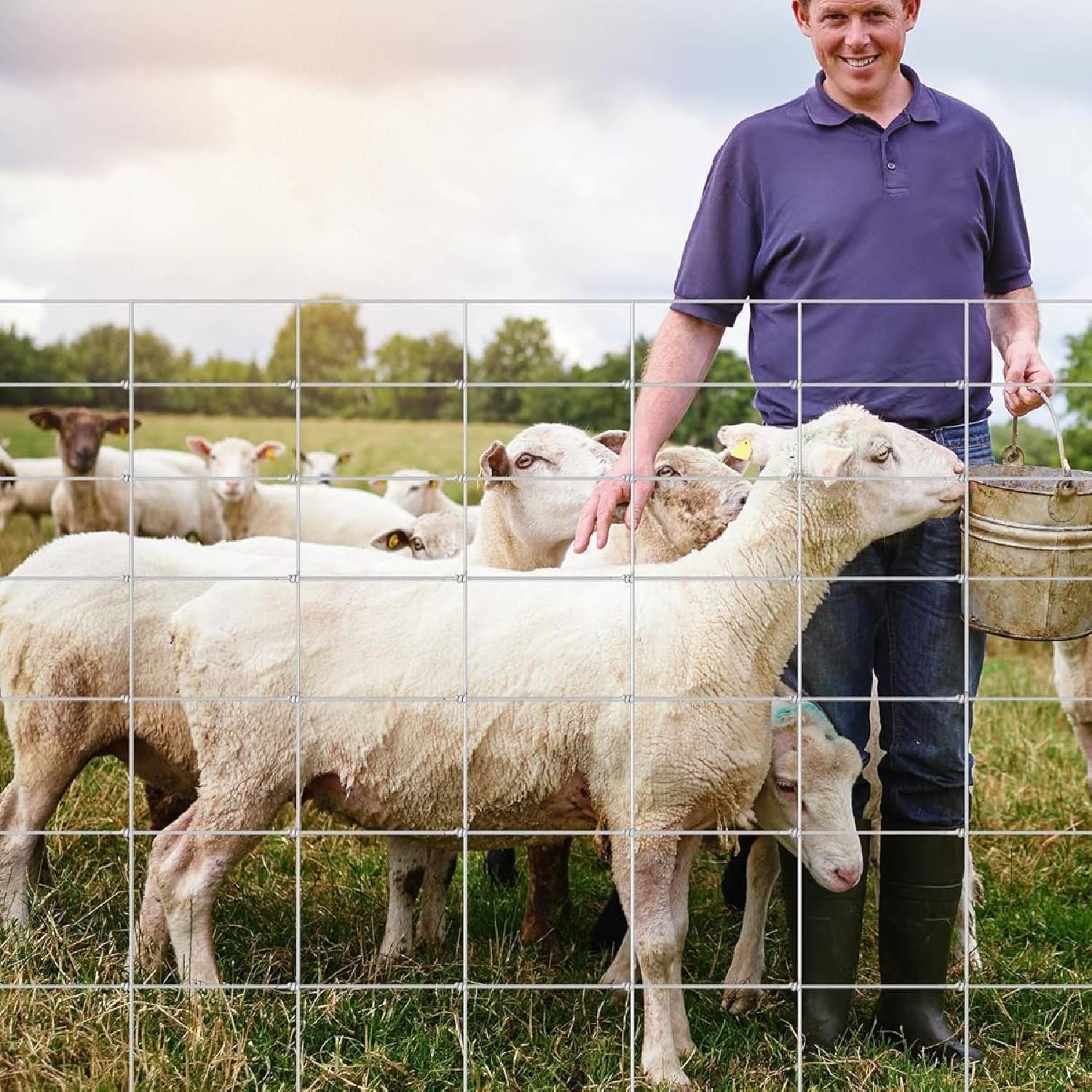 6ft x 164ft Heavy Duty Galvanized Wire Fence for Garden & Yard - 6FT X 164FT X 0.39IN