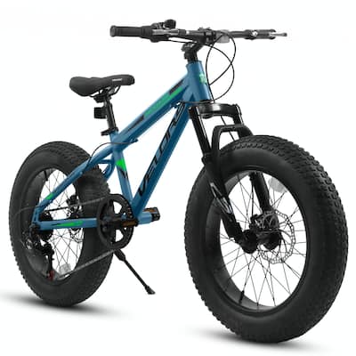 20 Inch Fat Tire Bike Adult 7 Speed Mountain Bike