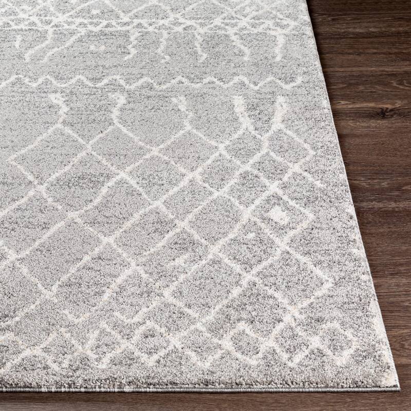 Livabliss Transitional Andorra Trellis Area Rug