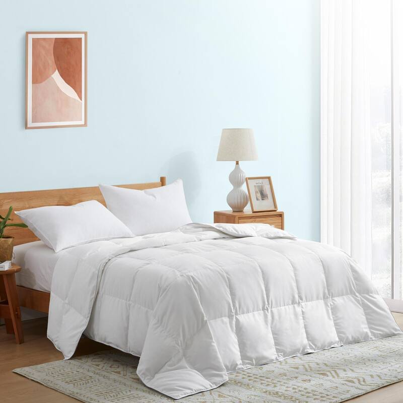 Year-round & Lightweight White Goose Down Duvet Insert Comforter