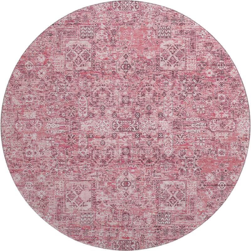 Premium Washable Super Soft Vintage Traditional Mayfield Rug