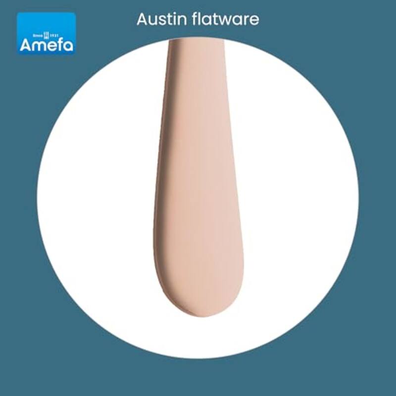 Amefa Austin 20 Piece Flatware Set - 4.5" L x 10" W x 3.5" H