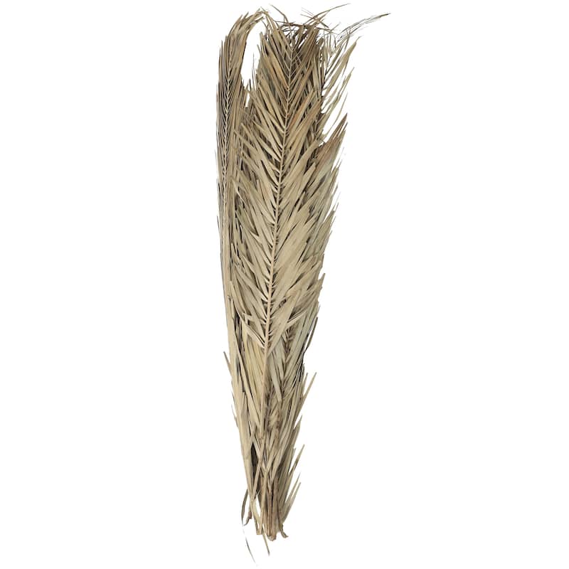 Dried Plant Palm Leaves Tall Home Decor Natural Foliage with Grass - Light Brown, Dark Brown, Green - Roche River Decor