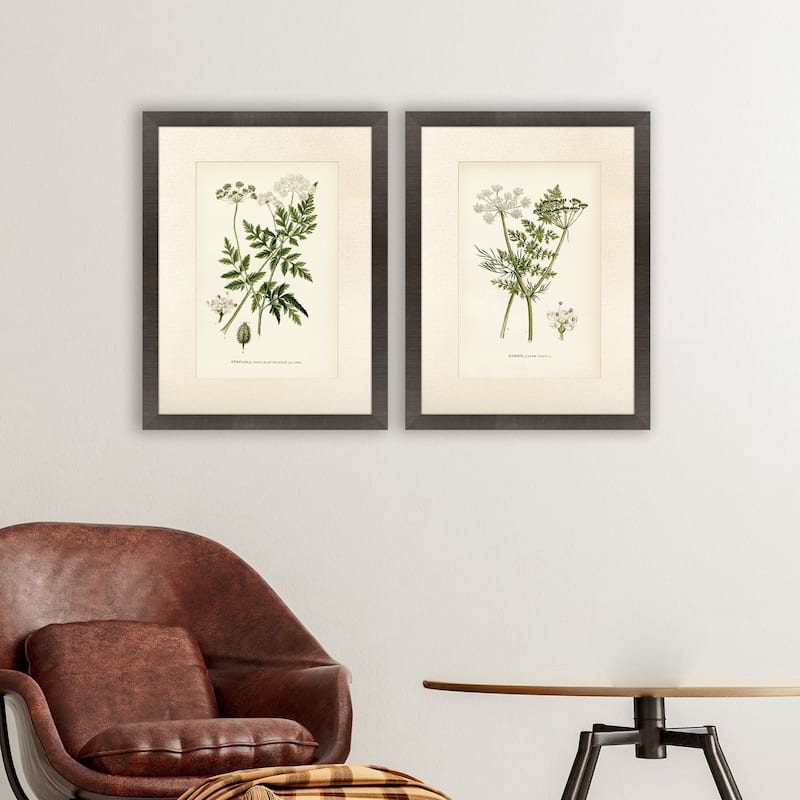 Paragon Queen's Lace II Framed Art - Set of 2 - 2-piece Set