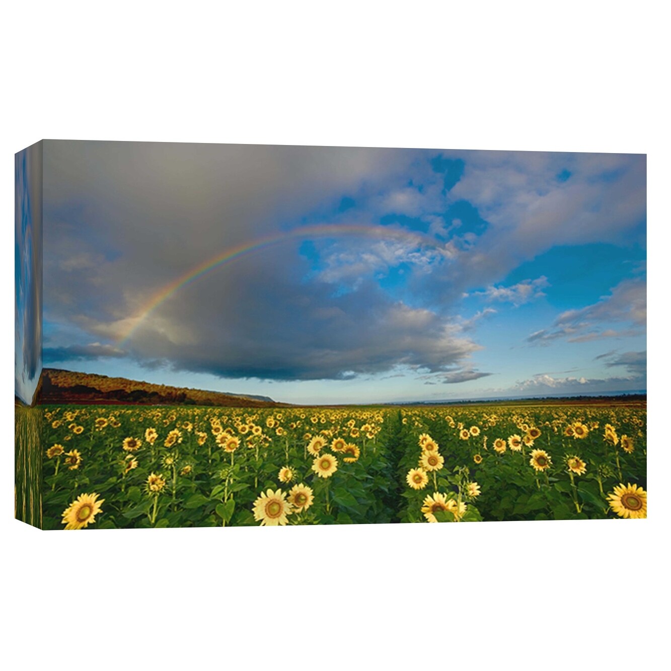 Shop Ptm Images 9 102139 Ptm Canvas Collection 8 X 10 Sunflower Rainbow Giclee Rural Art Print On Canvas Overstock 28105126