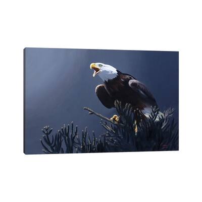 iCanvas "Bald Eagle At Top Of Pine Tree" by D. "Rusty" Rust Canvas Print