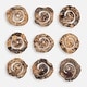 preview thumbnail 1 of 2, Corkscrew Tamarind Wood Wall Art - 13.75" - Set of 9