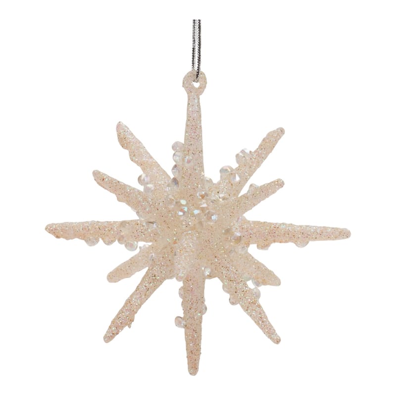 Frosted Glass Star Ornament (Set of 6)