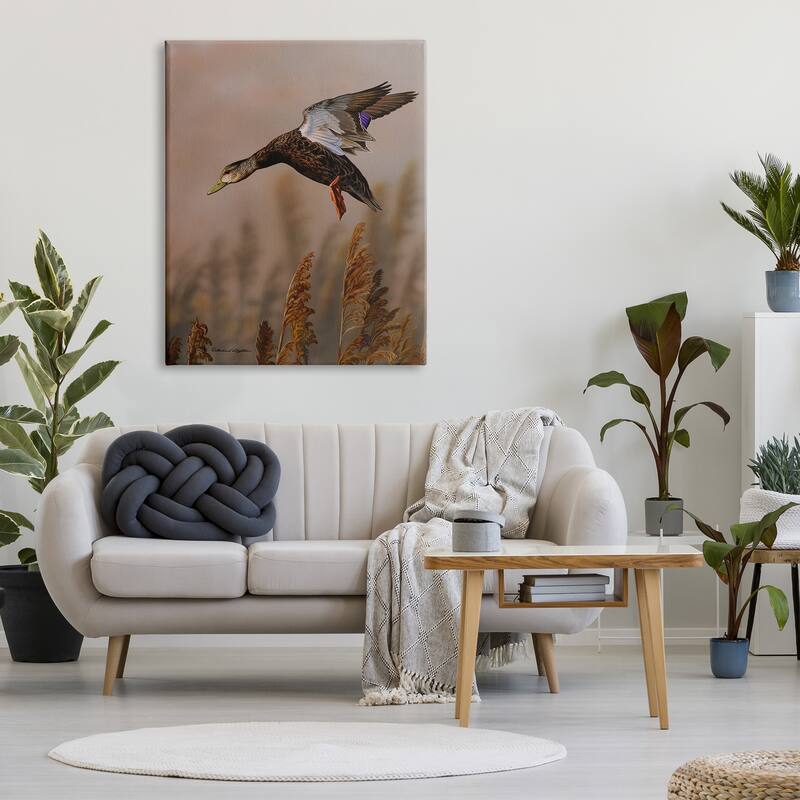Stupell Duck Flying Photography Canvas Wall Art Design by © Richard Clifton