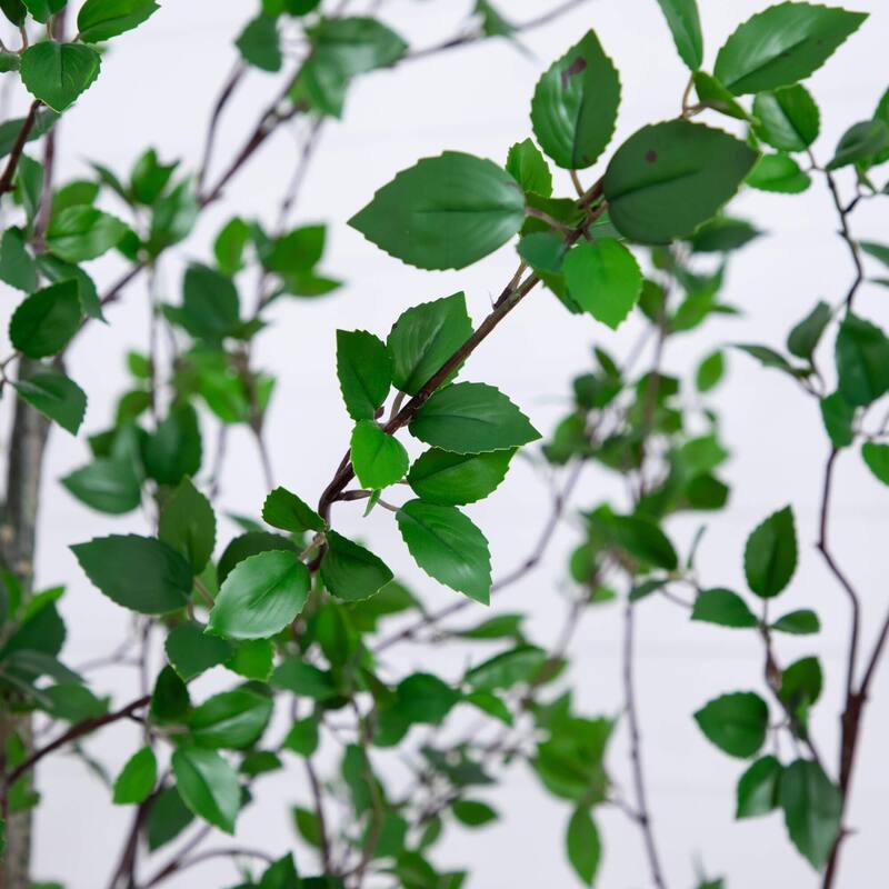 Potted Citrus Artificial Tree - 10' - Unlit