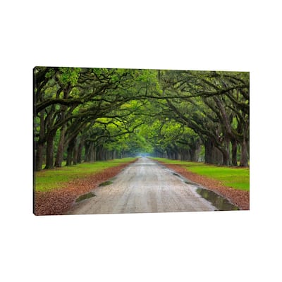 iCanvas "Oak Avenue, Wormsloe Plantation, Savannah, Georgia, USA" by Joanne Wells Canvas Print