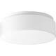 Option White