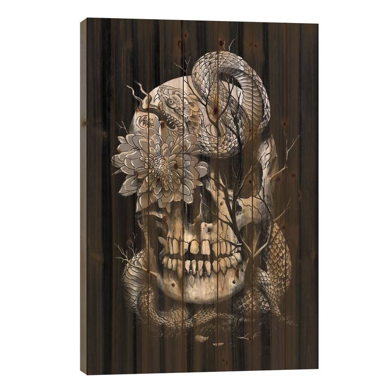 Snake And Skull In B&W Print On Wood by Nicebleed - Multi-Color - 40x26x1.5