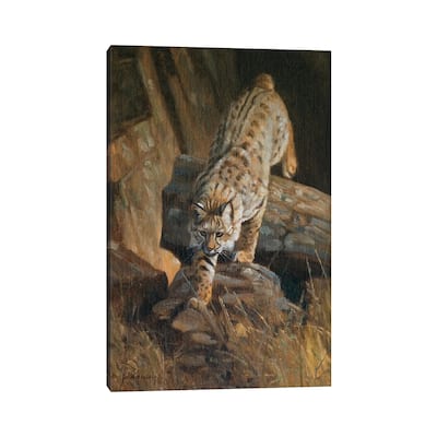 iCanvas "Lynx" by Grant Hacking Canvas Print