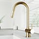 Option Matte Brushed Gold