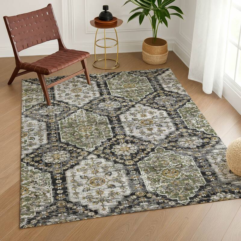 Machine Washable Indoor/ Outdoor Traditional Kiowa Chantille Rug