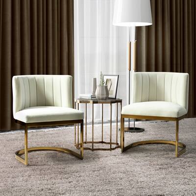 Felix Upholstered Accent Side Chair with Tufted Back Set of 2 by HULALA HOME