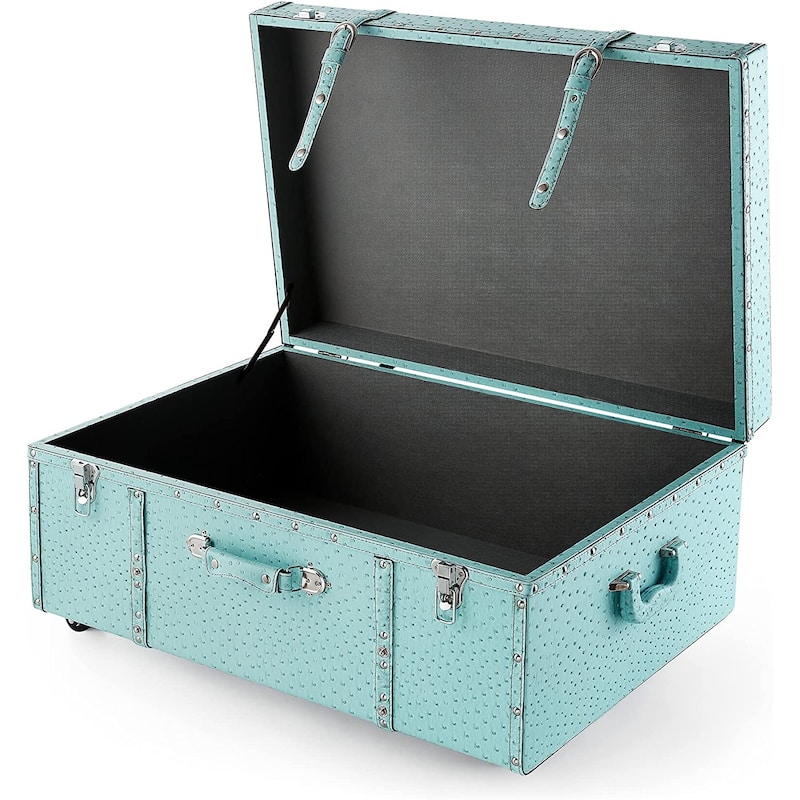 Texture® Brand Trunk - Faux Ostrich by DormCo - 29"L x 20"W x 14"H