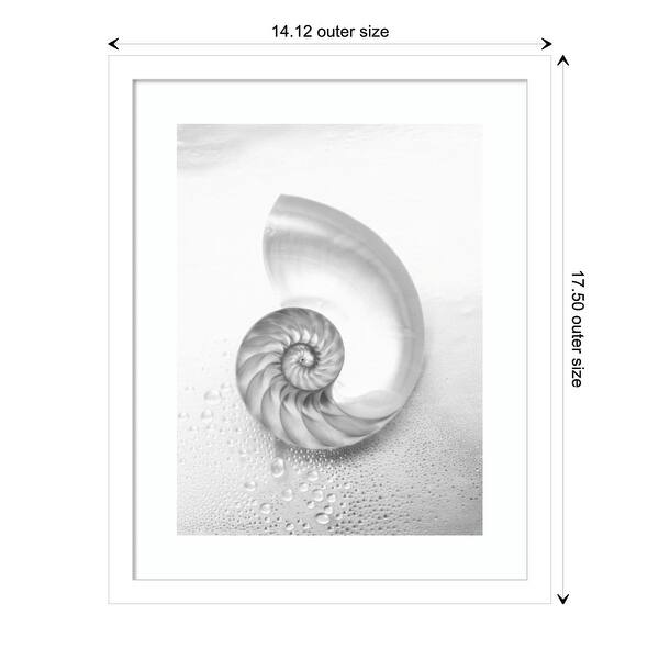 Pearl Nautilus Shell Cut In Half Showing Chambers by Design Pics Danita Delimont Framed Art