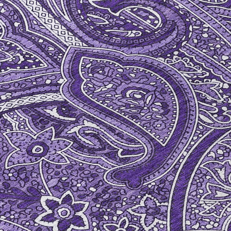 Machine Washable Indoor/ Outdoor Chantille Traditional Paisley Rug