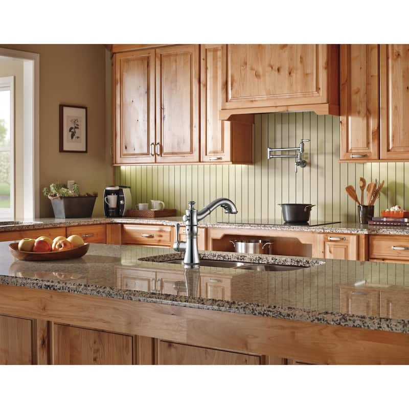 Delta Cassidy Pull-Out Kitchen Faucet - Includes Lifetime Warranty