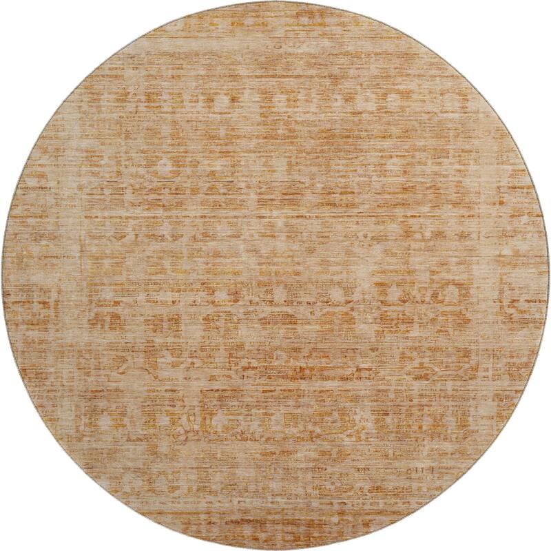 Premium Washable Super Soft Vintage Traditional Mayfield Rug