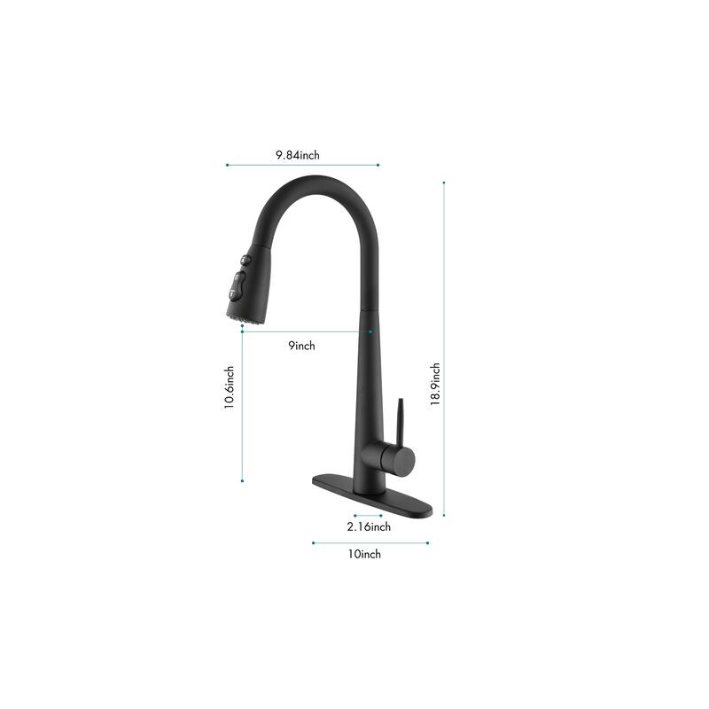 Single Handle Kitchen Sink Faucet with Pull Down Sprayer
