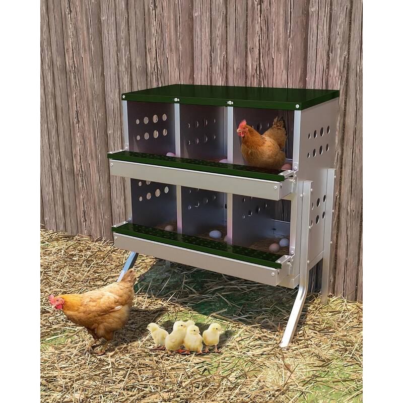 6-Compartment Metal Chicken Nesting Box, Waterproof Egg Laying Box - Green 6 Compartments